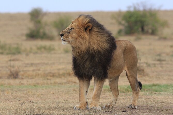 3-Day Sweetwaters: Ol Pejeta Conservancy Safari from Nairobi - Sweetwaters Serena Camp: comfort with a view