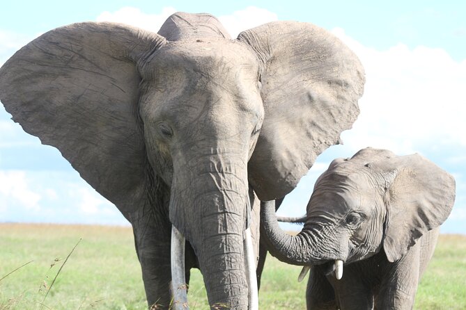 3-Day Sweetwaters: Ol Pejeta Conservancy Safari from Nairobi - The Nairobi departure and northern road journey