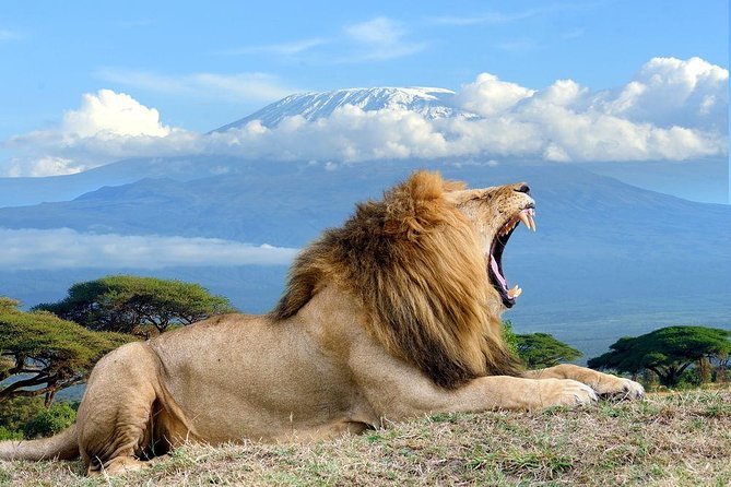 3 Day Tour to Amboseli Tsavo West & East to Mombasa/Diani/Nairobi - Is $1,100 a fair price?