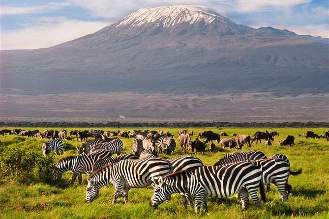 3 Day Tour to Amboseli Tsavo West & East to Mombasa/Diani/Nairobi - Who should book this safari?