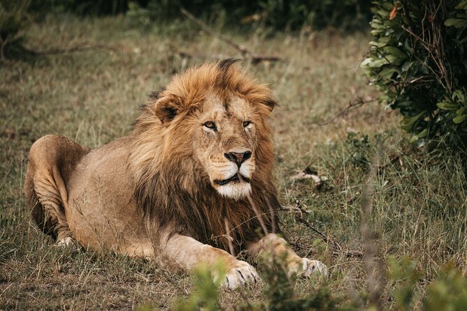 3-Day Tsavo East and Tsavo West Safari - Who will get the most from this safari?
