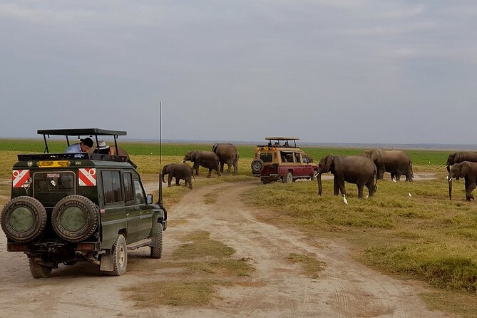 3 Days 2 Nights Amboseli National Park Tour - The 7:00 am drive from Nairobi