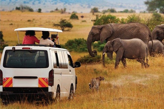 3 Days 2 Nights Amboseli Safari - Transport, timing, and comfort