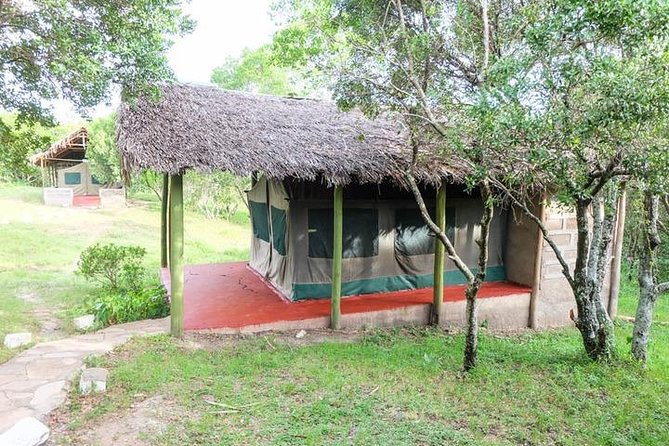 3 days 2 nights budget group safari to Maasai Mara National Reserve - Day two: the safari day that matters most