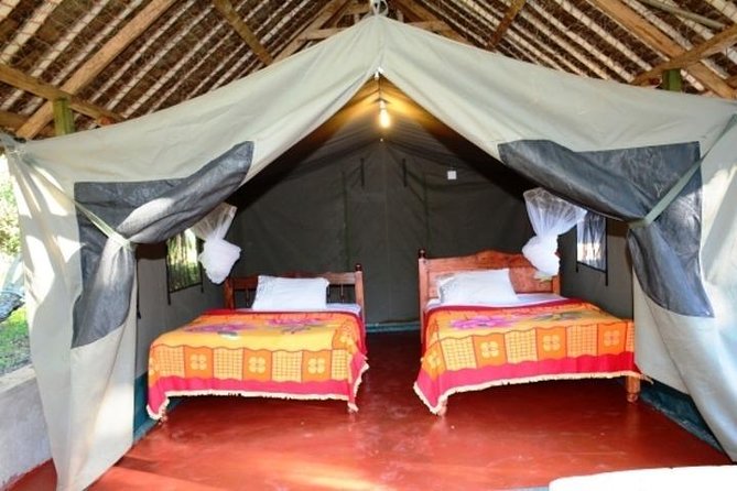 3 days 2 nights budget group safari to Maasai Mara National Reserve - The Mara River and the search for resident wildlife