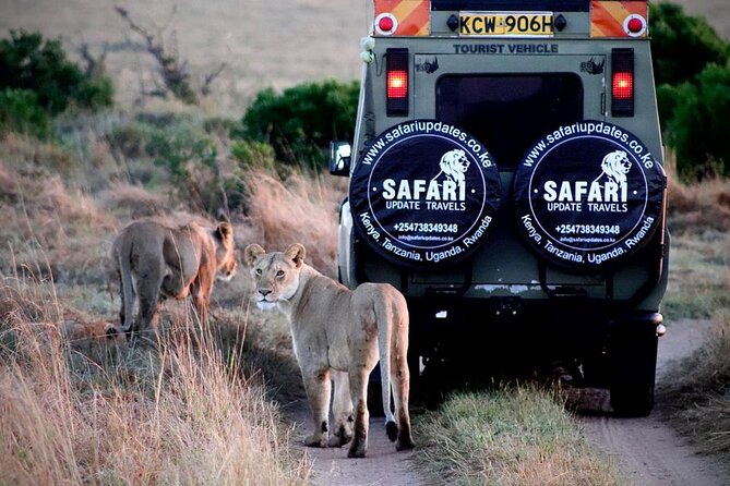 3 Days 2 nights Group joining Midrange Safari Tour in Masai maraa - Key points to know before booking