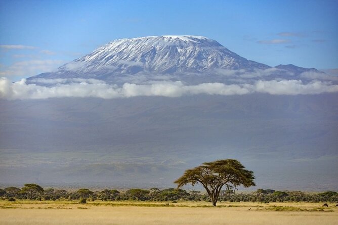 3 Days 2 Nights Joining Tour to Amboseli National Park - Key points before you book