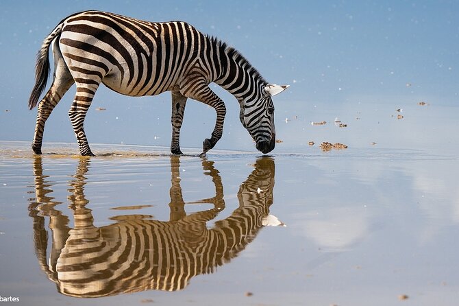 3 Days 2 Nights Joining Tour to Amboseli National Park - Why Amboseli works so well for a short safari