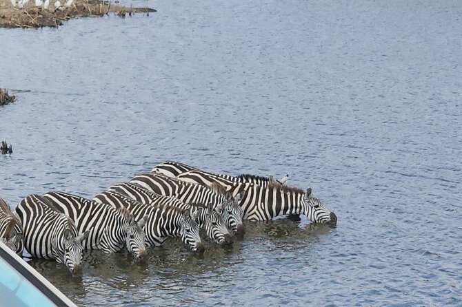 3 Days - 2 Nights Maasai Mara from Nairobi - Meals, lodging, and the real value of $800