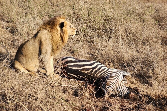 3 Days - 2 Nights Maasai Mara from Nairobi - Who will appreciate this safari most