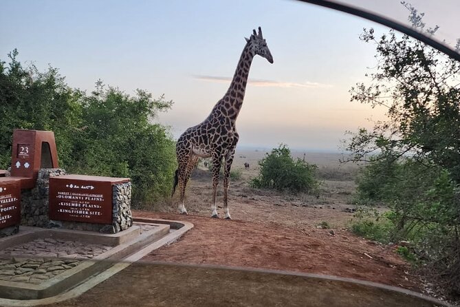 3 Days - 2 Nights Maasai Mara from Nairobi - What the private Jeep changes