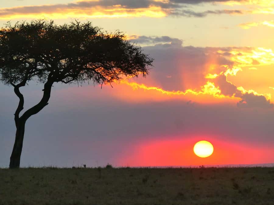 3 Days 2 Nights Maasai Mara Group Joining by landcruiser - Day one: Nairobi, the Great Rift Valley, and an evening game drive