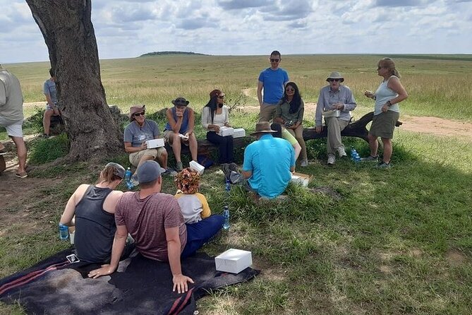 3 Days 2 Nights Maasai Mara Group Safari by 4WD From Nairobi - Why this short safari works from Nairobi