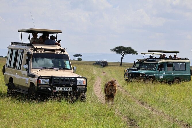 3 Days 2 Nights Maasai Mara Group Safari by 4WD From Nairobi - The full-day Mara outing from 7 a.m. to 5 p.m.