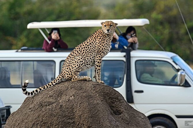 3 Days 2 Nights Maasai Mara Group Safari by 4WD From Nairobi - The guide can make or break the experience