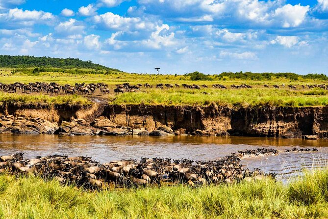 3 Days 2 Nights Maasai Mara Guided Safari Tour - Key things to know before you book