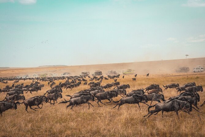 3 Days 2 Nights Maasai Mara Guided Safari Tour - The road from Nairobi to the Great Rift Valley