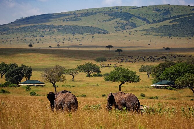 3 Days 2 Nights Maasai Mara National Reserve Joining Safari - The five details I would check first