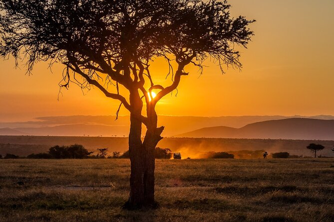 3 Days 2 Nights Maasai Mara National Reserve Joining Safari - What the $600 price really covers