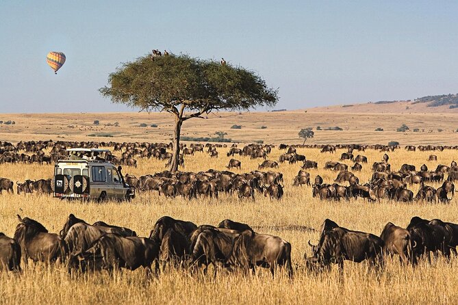 3 Days 2 Nights Maasai Mara National Reserve Joining Safari - Booking, cancellation, and practical planning