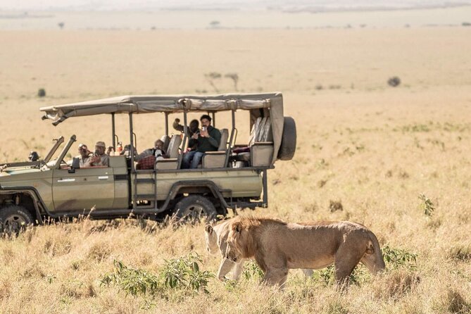 3 Days 2 Nights Maasai Mara National Reserve Joining Safari - Afternoon arrival and the first Mara game drive