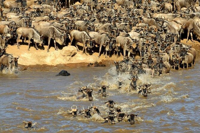 3 days 2 nights Masai Mara Budget safari from Nairobi - Meeting Maasai communities along the route