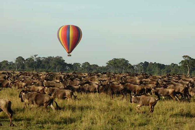 3 Days 2 Nights Masai Mara Joining Safari From Nairobi - The biggest price question: $500 or about $1,100?