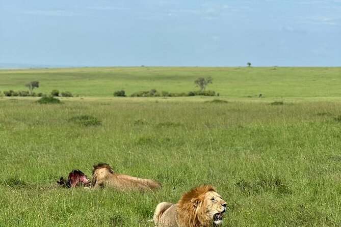 3 Days 2 Nights Masai Mara Road Transport Safari - Starting at City Market and crossing the Rift Valley