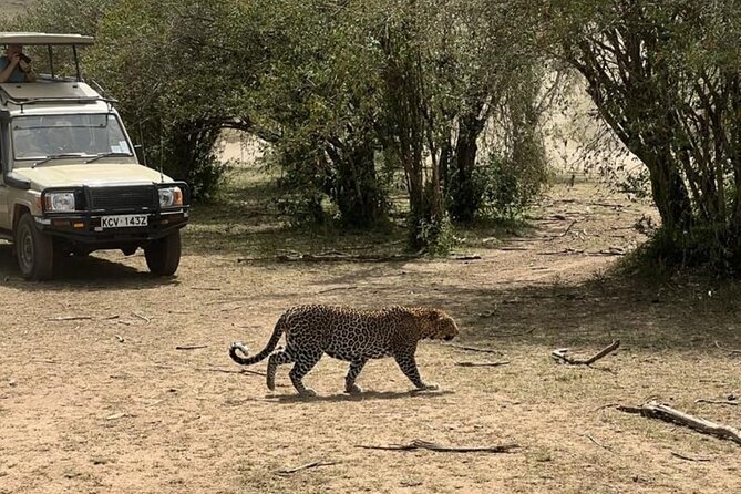 3 Days 2 Nights Masai Mara Road Transport Safari - What the $360 price really covers