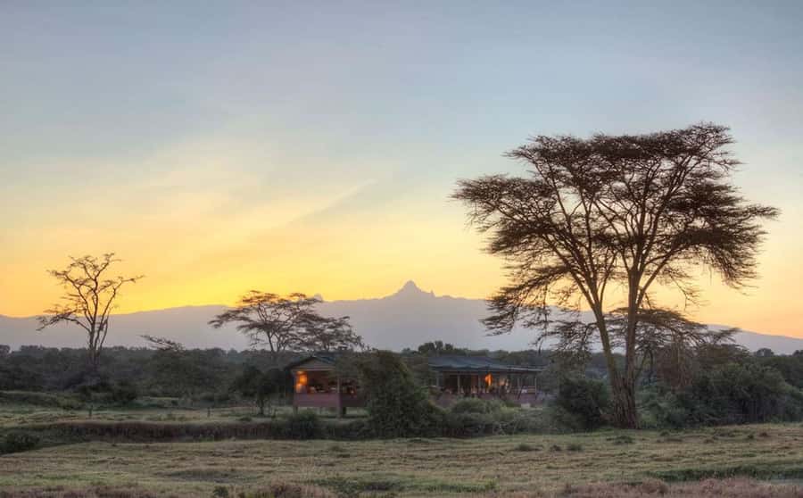 3 DAYS, 2 NIGHTS PRIVATE SAFARI TO OLPEJETA CONSERVANCY - Day 2: A full day among rhinos and rare species