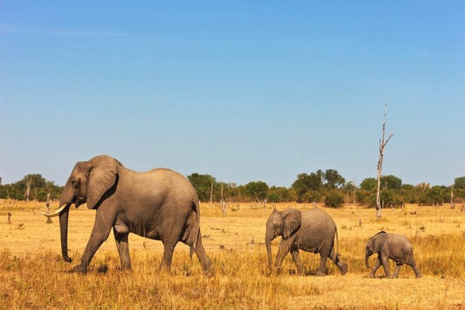 3 Days, 2 Nights Safari - Amboseli National Park and Tsavo West Adventure Safari - Day one: the long road to Tsavo West