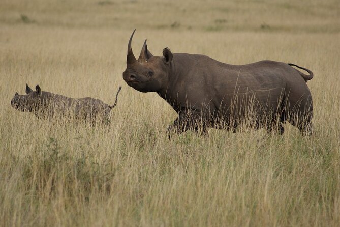 3 Days, 2 Nights Safari - Luxury Maasai Mara from Kisumu/Nairobi - Day three: a Maasai cultural visit before the drive back