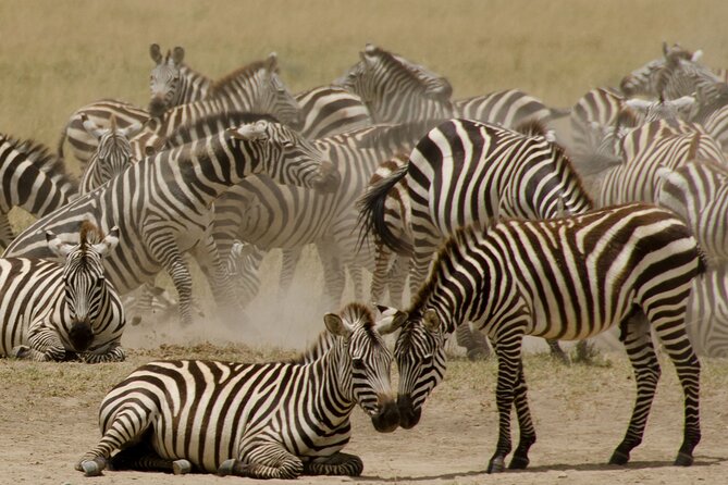 3 Days, 2 Nights Safari - Luxury Maasai Mara from Kisumu/Nairobi - What the $2,230 price includes
