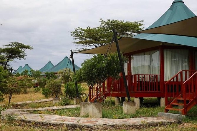 3 days, 2 nights safari to Amboseli National park from Nairobi - Wildlife watching: Elephants first, predators possible