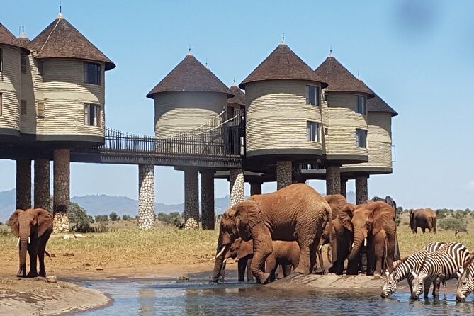 3 Days 2 Nights Safari to Saltlick Lodge from Nairobi - Key points to know before booking