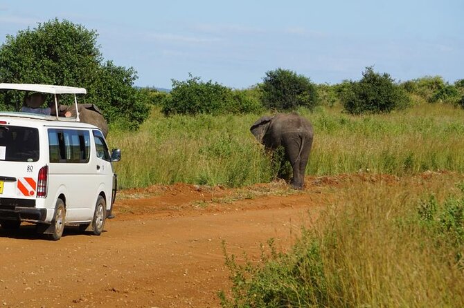 3 Days 2 Nights Safari to Saltlick Lodge from Nairobi - Day three: breakfast and the return journey