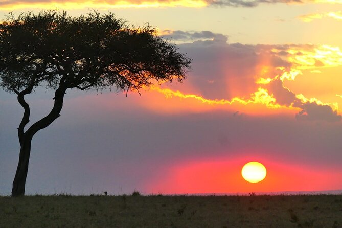 3 Days 2 Nights Safari to Saltlick Lodge from Nairobi - What the $851 price includes