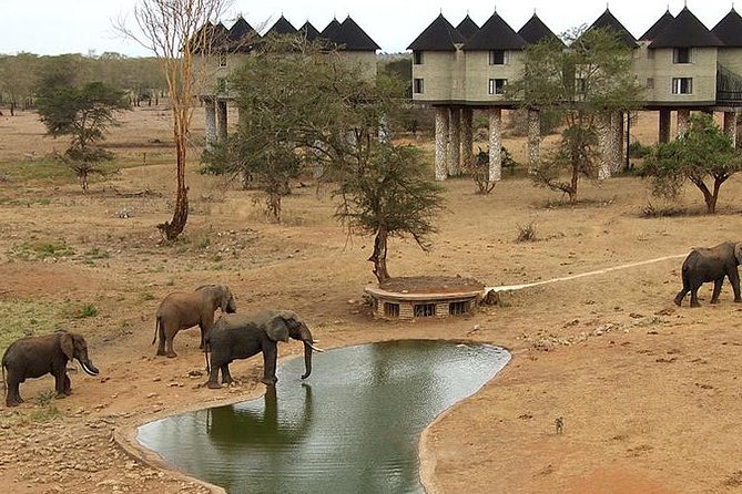 3 Days 2 Nights Tsavo East Taita Hills Game Sanctuary on Stilts - Key points before you book