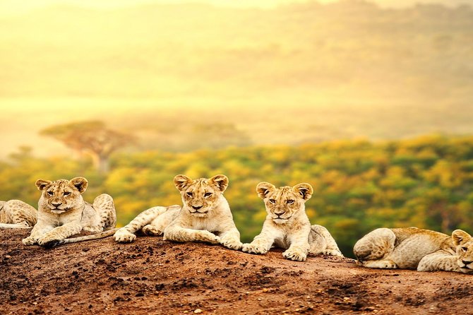 3 Days 2 Nights Tsavo East Taita Hills Game Sanctuary on Stilts - What the $865 price includes