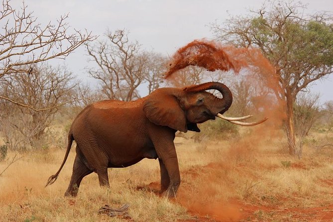 3 Days 2 Nights Tsavo East Taita Hills Game Sanctuary on Stilts - Day 1: Red soil, Aruba Dam, and Tsavo East