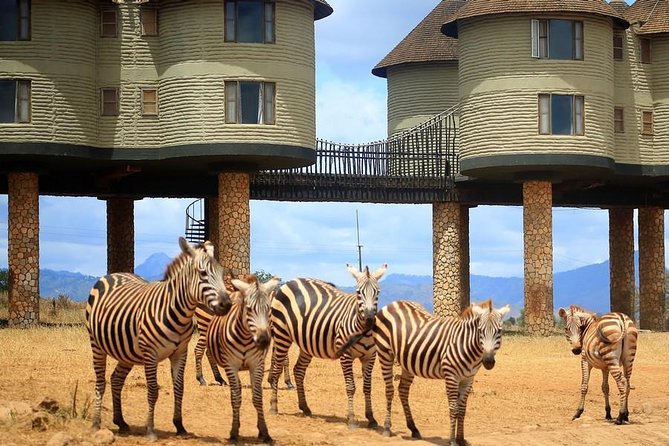 3 Days(2 nights) Tsavo East Tour & Saltlick (Cost based on minimum 2 persons) - Tsavo East offers your first full wildlife search