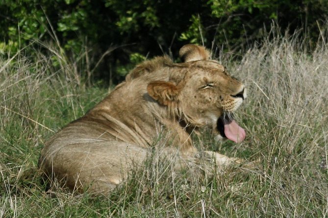 3 Days(2 nights) Tsavo East Tour & Saltlick (Cost based on minimum 2 persons) - Saltlick Game Lodge and the evening waterhole
