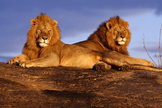 3 Days (2 nights); Tsavo East & West Safari: - Why Tsavo makes a good three-day safari