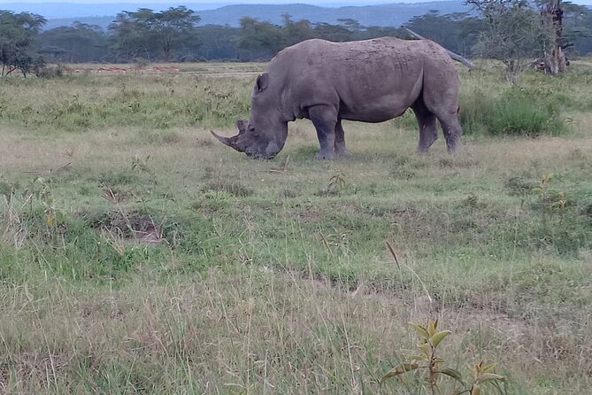 3 Days Adventure Tour in Masai Mara - The 6:30 a.m. sunrise drive
