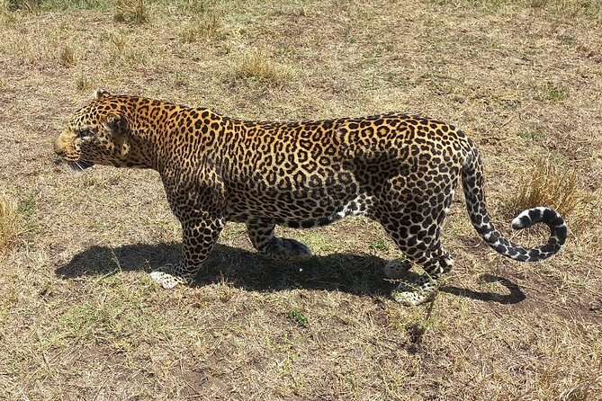3 Days Adventure Tour in Masai Mara - Rift Valley views and Mount Longonot