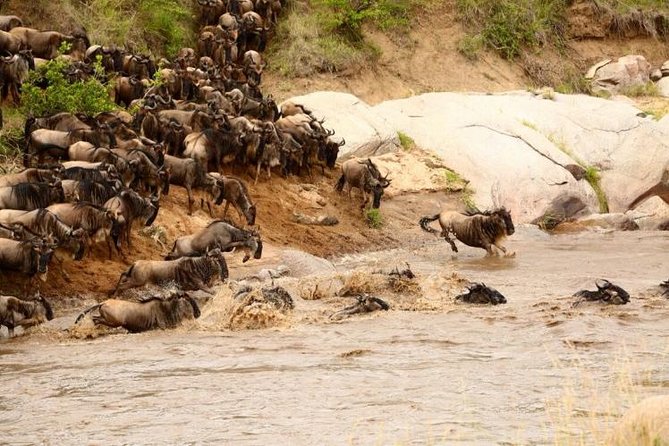 3 Days adventurous Maasai Mara Budget Group Safari - What to pack for a budget camp