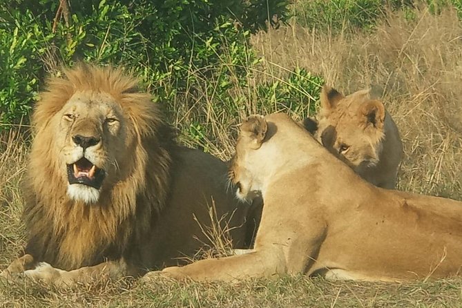 3 Days adventurous Maasai Mara Budget Group Safari - What is not included