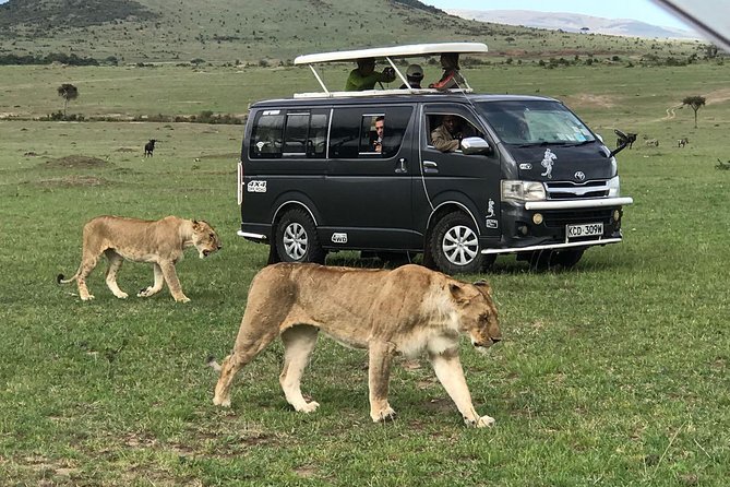 3 Days adventurous Maasai Mara Budget Group Safari - Day one: Nairobi to the Mara and an evening drive