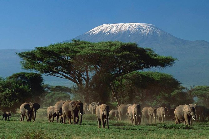 3 days Amboseli, Land of Kilimanjaro - The Nairobi Pickup and Long Road to Amboseli