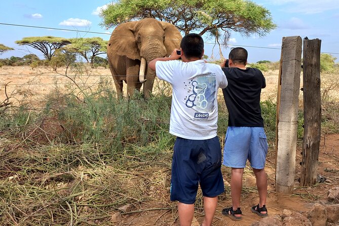 3 Days Amboseli national Park experience. - Who should book this three-day trip?